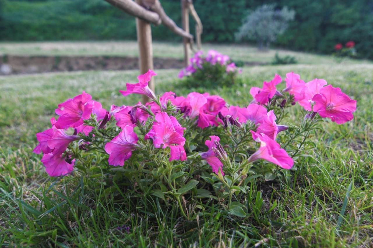 Agriturismo Poggio Ridulfo Volterra Ngoại thất bức ảnh